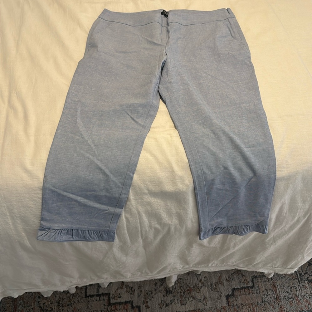 loft pants